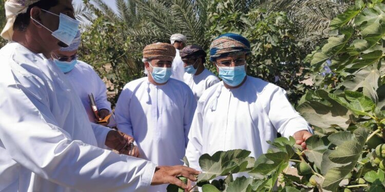للاطلاع على المشاريع الزراعية والحيوانية ومتابعة سير العمل.. وكيل الزراعة للزراعة يزور محافظة جنوب الشرقية