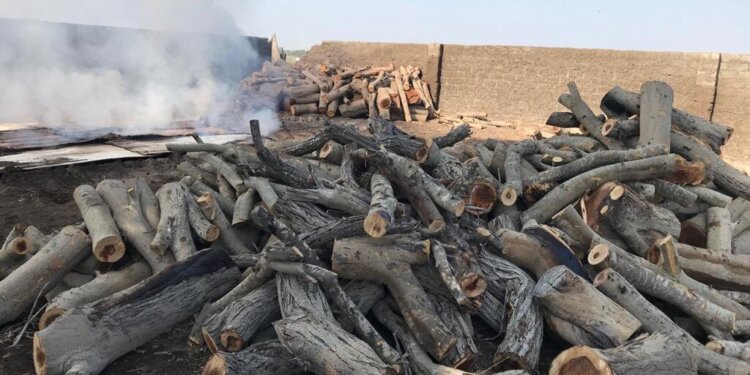 ضبط عمالة وافدة تقوم بتسخيم أكوام كبيرة من الحطب