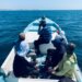 الرقابة السمكية بظفار تضبط مخالفين