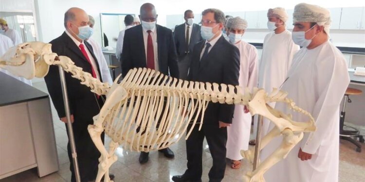 مختبرات الطب البيطري بجامعة الشرقية نقلة نوعية جديدة للتخصصات العلمية