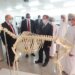 مختبرات الطب البيطري بجامعة الشرقية نقلة نوعية جديدة للتخصصات العلمية
