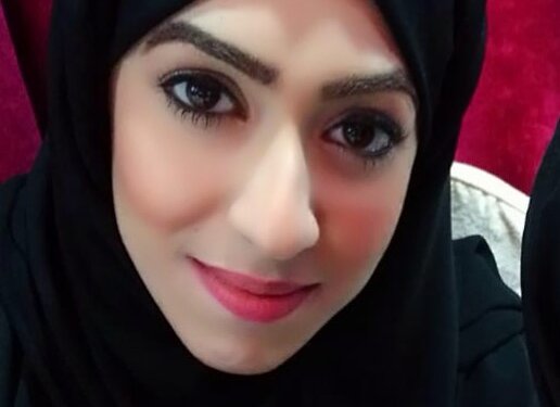 مهنة الإنسانية