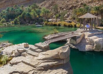 بين مطرقة الجائحة وسندان ضعف التخطيط