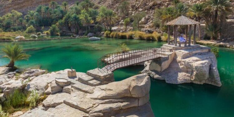 بين مطرقة الجائحة وسندان ضعف التخطيط