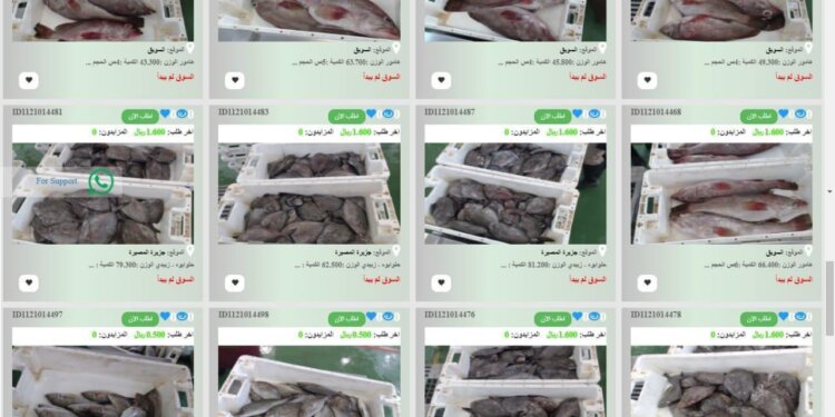 “بِحار” تقوم بأول عملية بيع بالمزاد الإلكتروني إلى الإتحاد الأوروبي