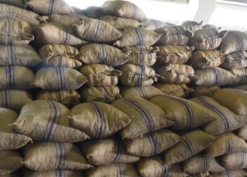 التجارة والصناعة وترويج الاستثمار تستلم أكثر من 180 طنًّا من البسور لمحصول عام 2020م