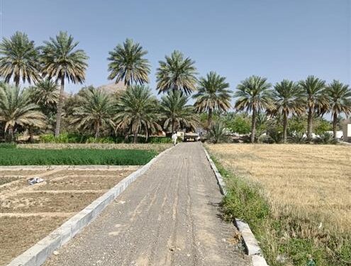 بجهود أهلية تحسين الطرق الداخلية بولاية عمانية