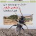 في العدد الجديد من اصدار الوشق.. اكتشاف نوع جديد من خنافس الأزهار في السلطنة