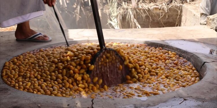 “التبسيل” حرفة عمُانية ذو مردود اقتصادي وقيمة غذائية