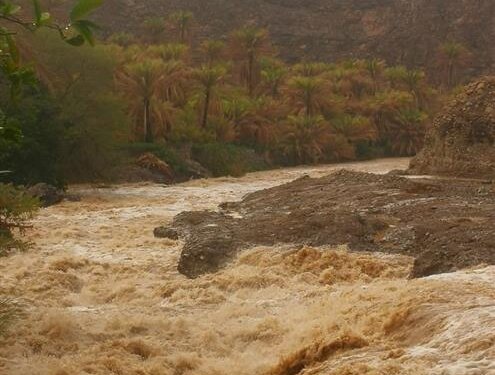 هطول أمطار على دماء والطائين