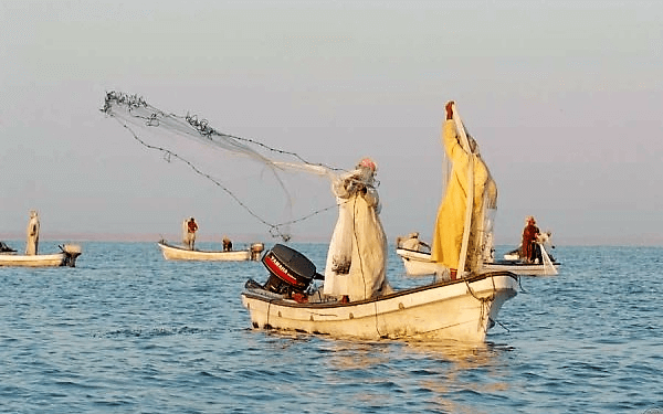 اليوم.. بدء موسم صيد الروبيان
