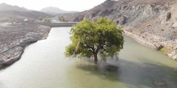 عرض قاعدته 9 أمتار .. البدء في تنفيذ سد صدامة الدراوشة