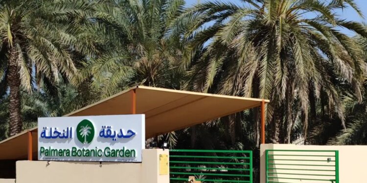 حديقة النخلة .. حديقة تعليمية مختصصة بالنخيل ومنتجاتها