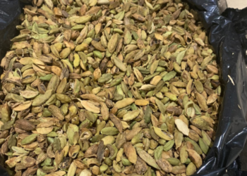 لعدم صلاحيتها للاستهلاك الآدمي.. رفض حوالي (١٨) طن من المواد الغذائية المستوردة