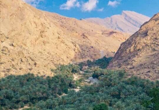 مشتل قرية بضعة الخيري.. انطلاقة لتجسيد بيئة عناصرها مستدامة