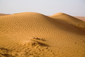 أفضل الأماكن لقضاء إجازة العيد الوطني ال51