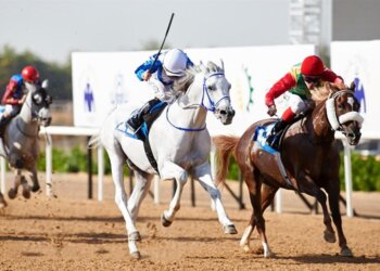 الحصان فخر للخيالة السلطانية يحقق مركز الوصيف على مضمار أبو ظبي