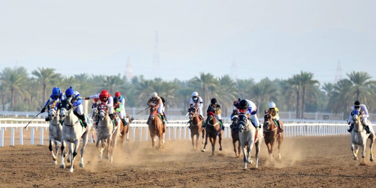 الفرس “أبرار مسقط” تحقق المركز الأول في منافسات سباق الخيل السادس على مضمار الرحبة