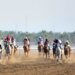 الفرس “أبرار مسقط” تحقق المركز الأول في منافسات سباق الخيل السادس على مضمار الرحبة