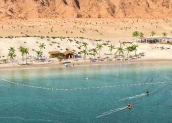 قريباً… افتتاح  مطعم وشاطئ ديونر