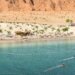 قريباً… افتتاح  مطعم وشاطئ ديونر