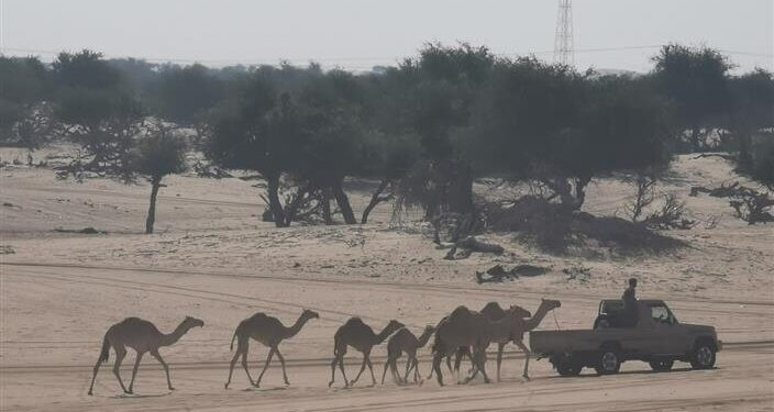 ننصحك بزيارتها .. واحة “الغينة” من الوجهات الرملية السياحية الشتوية الجميلة