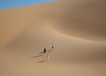 تنظيم حملة تطوّعية لتنظيف ولايتين