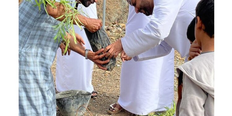 زراعة 100 شتلة من الأشجار الرعوية بقرية “وادي الحلتي”