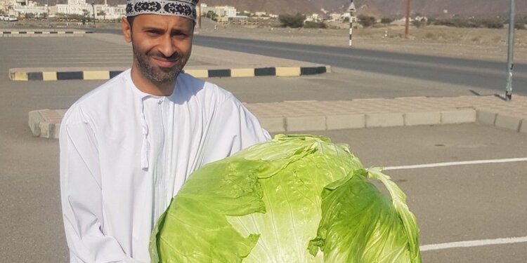 رامي الهدابي :”أطمح في جعل عمان خضراء بالزراعة المنزلية.. وأتمنى أن ألاقي تمويل ودعم من الجهات المختصة “