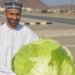رامي الهدابي :”أطمح في جعل عمان خضراء بالزراعة المنزلية.. وأتمنى أن ألاقي تمويل ودعم من الجهات المختصة “