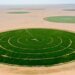 شركة النجد للتنمية الزراعية كبرى الشركات الزراعية بمنطقة النجد في محافظة ظفار