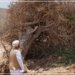 هيئة البيئة تؤكد تعاملها مع بلاغ حول التعدي على الغطاء النباتي