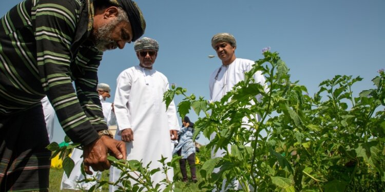 فريق العمل المشترك يتابع سير أعمال اجتثاث نبتة البارثنيوم ونثر البذور الرعوية في ظفار