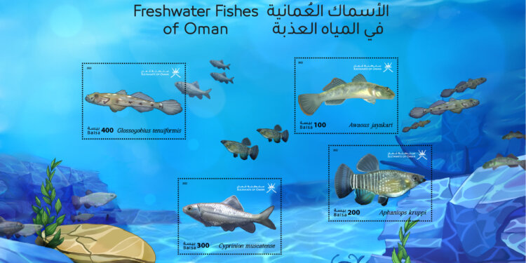 إصدار طوابع تذكارية عن الأسماك العُمانية في المياه العذبة