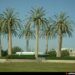 بلدية صحار تنفي شائعة متداولة