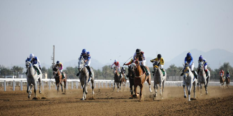 مضمار الرحبة يشهد إقامة سباق الخيل السابع السبت المُقبل