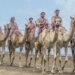 الهجانة السُّلطانية تشارك في فعاليات الإبل بالسعودية وقطر