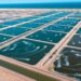 بأكثر من 2 مليون ريال عُماني.. “تنمية أسماك عُمان” تُسجل خسارة كبيرة نتيجة نفوق الأسماك المستزرعة