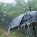 نهاية أسبوع ماطرة على المحافظات الشمالية