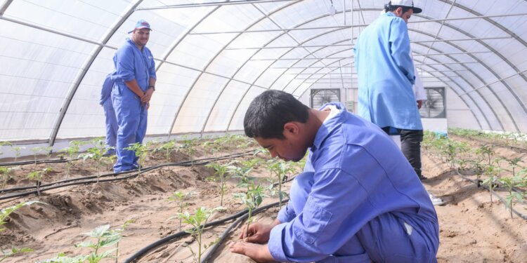 “التنمية الاجتماعية” تعلن موعد التسجيل في مراكز تأهيل ذوي الإعاقة.. ما المستندات المطلوبة؟