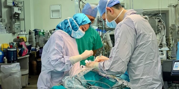 لتطوير منظومة الرعاية الصحية في سلطنة عُمان.. أكثر من 150 بحثًا علميًّا بالمستشفى السُّلطاني خلال 2023