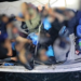 زوارق خفر السواحل تُحبط محاولة تهريب 18 وافدًا آسيويًّا