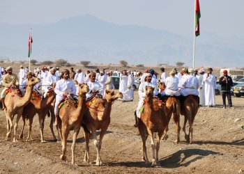 ختام مهرجان الأصالة للهجن والخيل بصحم