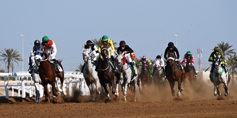 السيد منذر البوسعيدي: “دعم جلالة السلطان للفروسية يعد حافزًا، والرياضة تحظى باهتمام الشباب” – صحيفة الصحوة