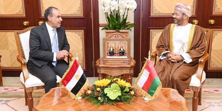 وزير الخارجية يستقبل نظيره المصري