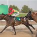 بقيادة الفارس حمد البوسعيدي.. “صلب” ينتزع الصدارة في سباق الخيل بدبي