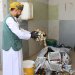 في العامرات: ضبط أكثر من 500 كيس من التبغ الممضوغ والسجائر المخالفة