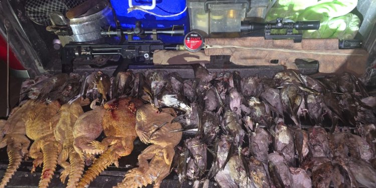 ضبط مواطنين انتهكوا الحياة الفطرية بظفار