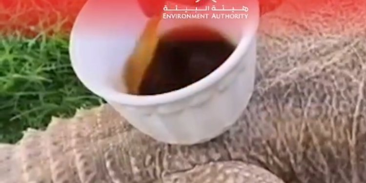 إجراء قانوني بحق من قام بتعذيب  “ضب” بالظاهرة