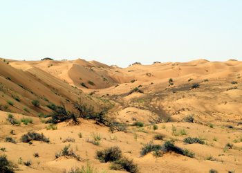 في يوم مكافحة التصحر.. هل تعرف كيف تُعيد سلطنة عُمان الحياة للأرض؟